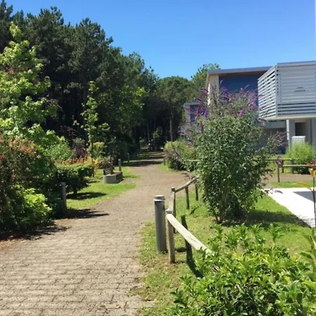 Pleasant Flat For Five 100 M From The Sea-bibione Apartment *