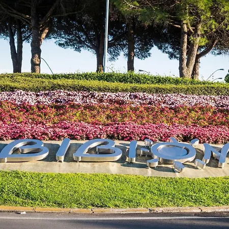 Apartment Pleasant Flat For Five 100 M From The Sea-bibione
